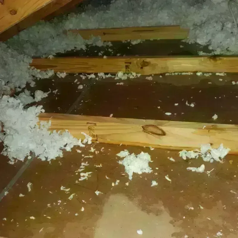 Attic Water Damage in Wright, WY