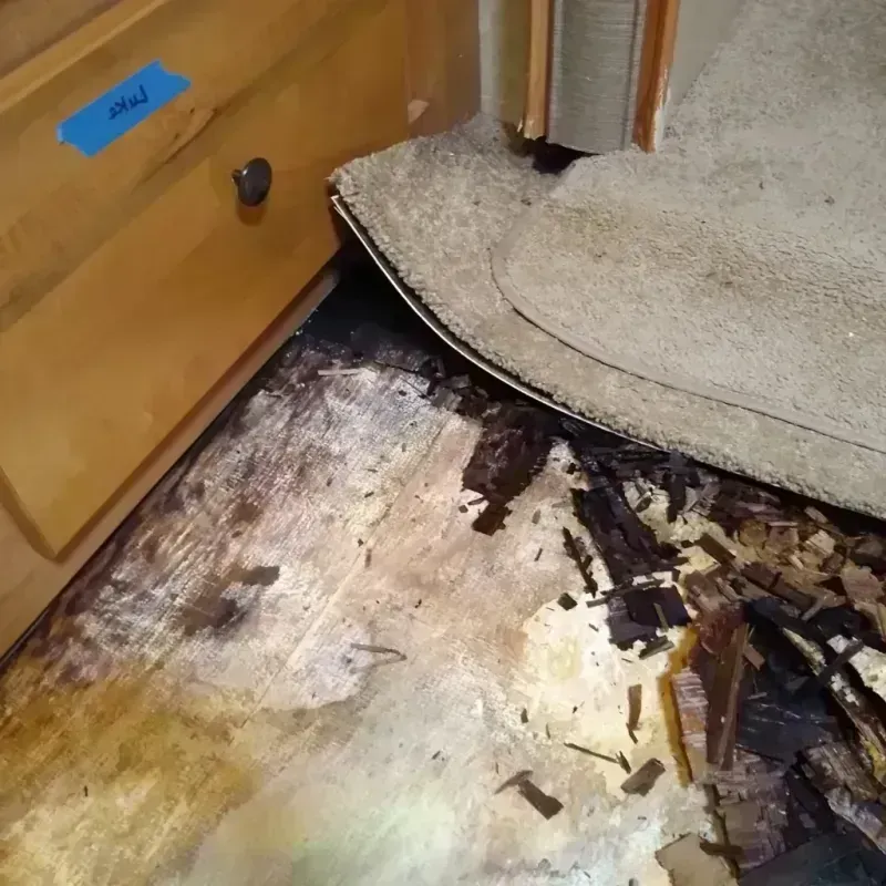 Best Wood Floor Water Damage Service in Wright, WY